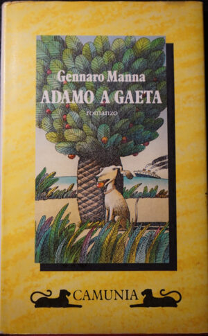Immagine-Cover-Libro
